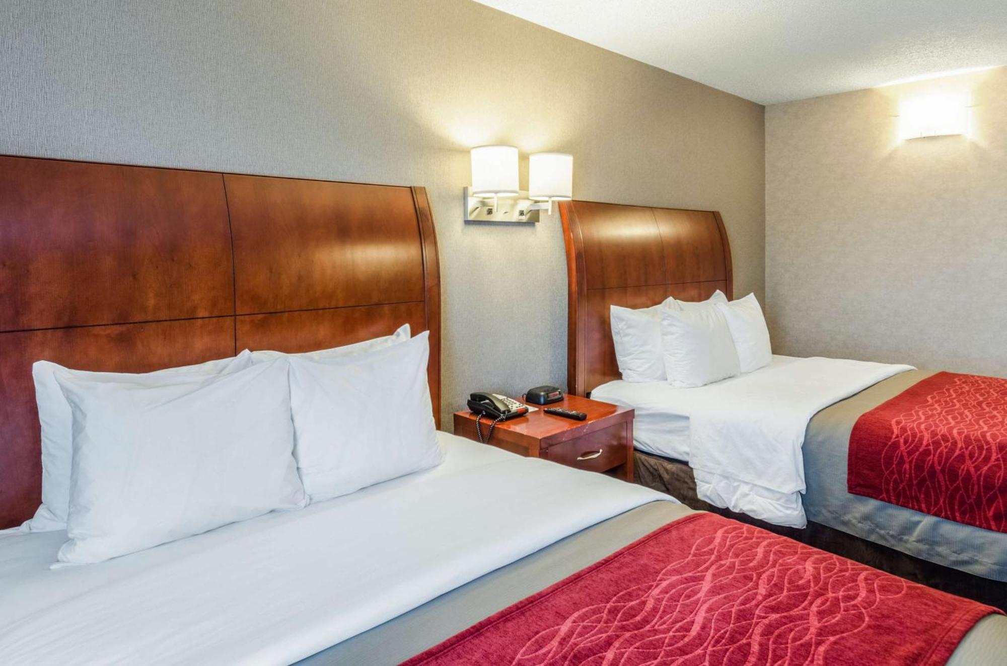 Comfort Inn & Suites West Springfield Ngoại thất bức ảnh